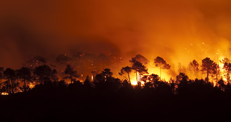 wildfire burning overnight