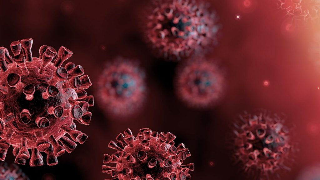 A graphical representation of coronavirus cells.